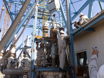 南京揚(yáng)子石化大檢修項目